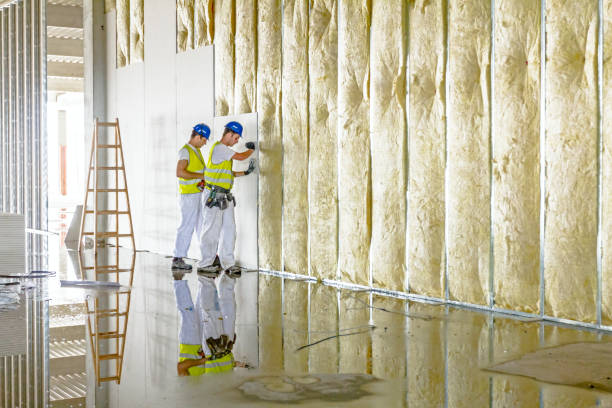 Types of Insulation We Offer in Tabor City, NC